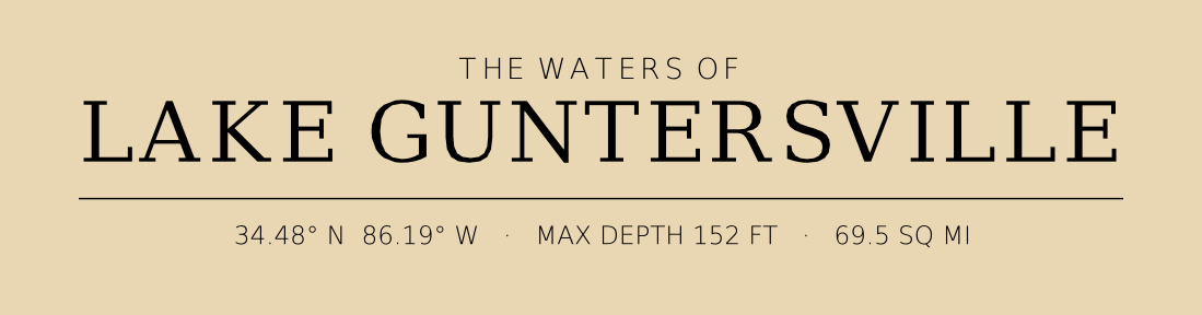 Title block preview