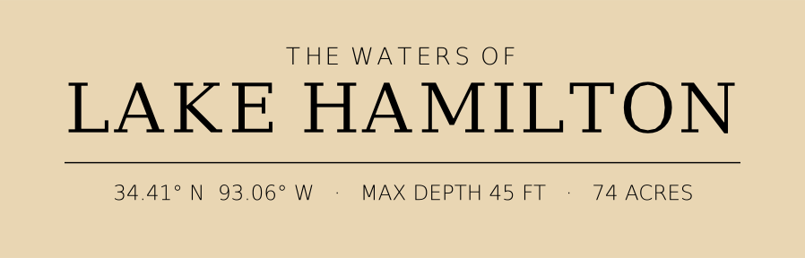 Title block preview