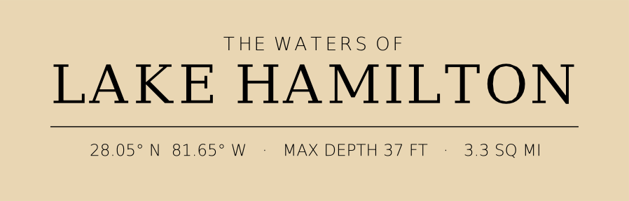 Title block preview