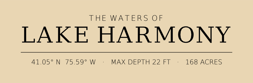 Title block preview