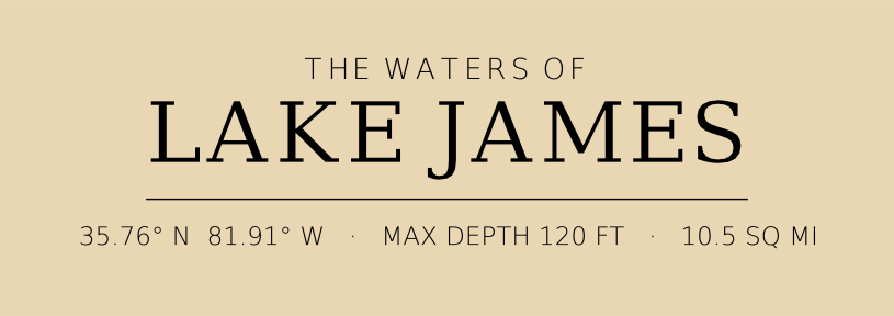 Title block preview