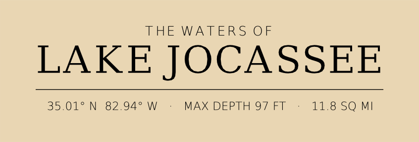 Title block preview