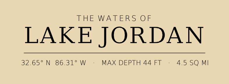 Title block preview