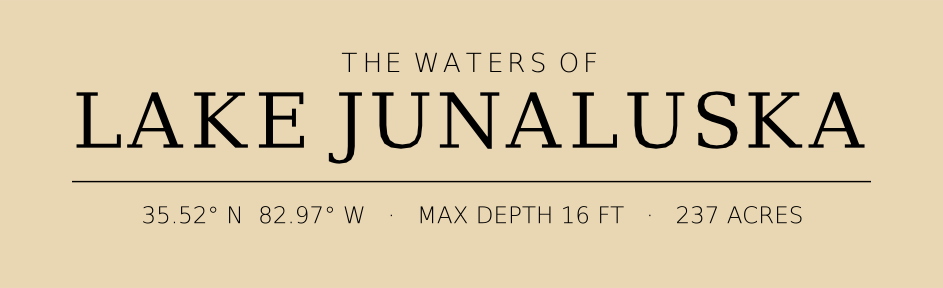 Title block preview