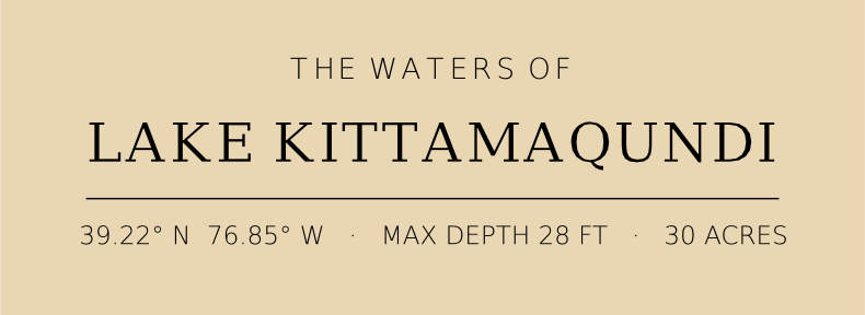 Title block preview