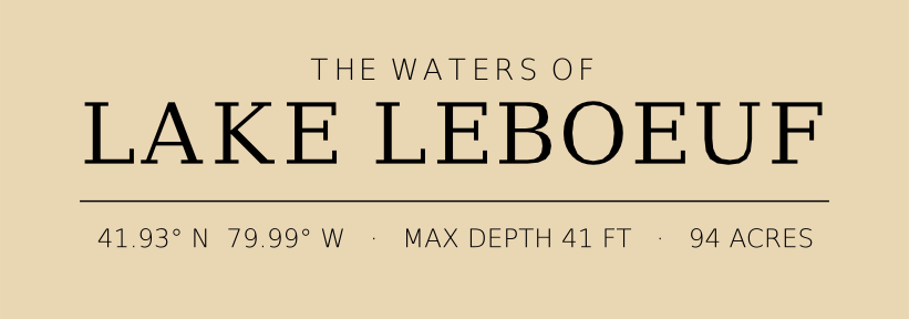 Title block preview