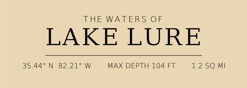Title block preview