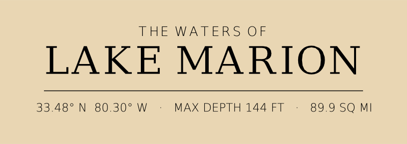 Title block preview