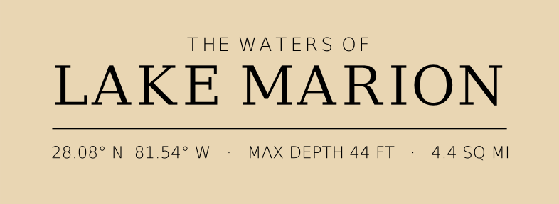 Title block preview