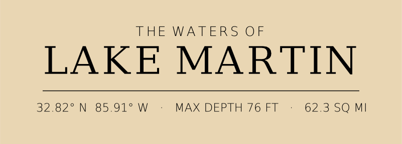 Title block preview