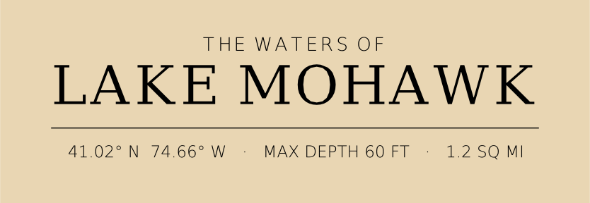 Title block preview