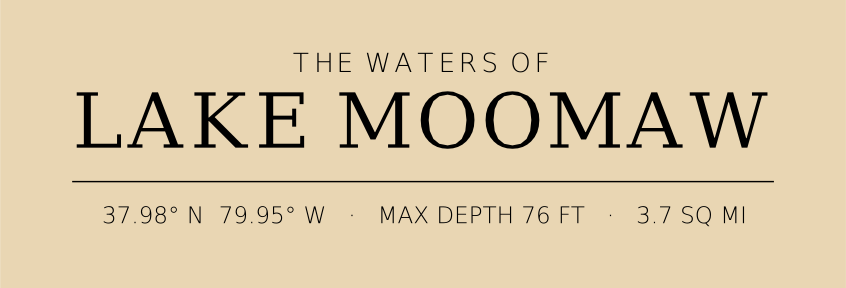 Title block preview