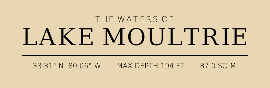 Title block preview