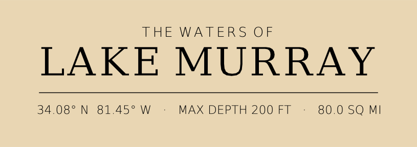 Title block preview