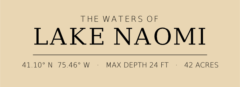 Title block preview
