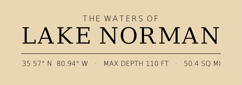 Title block preview