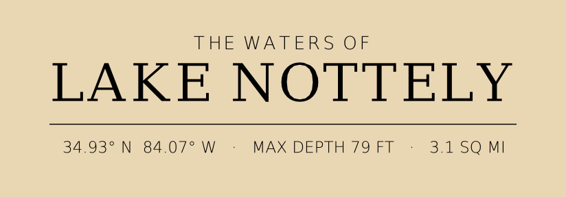 Title block preview