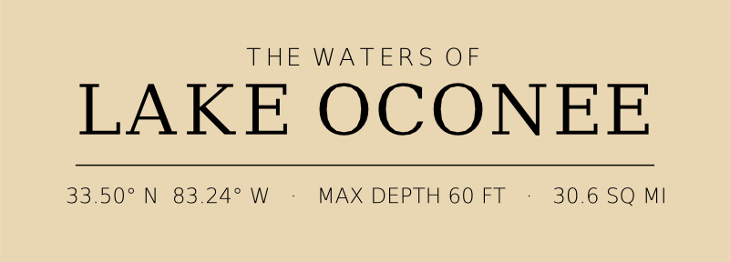 Title block preview