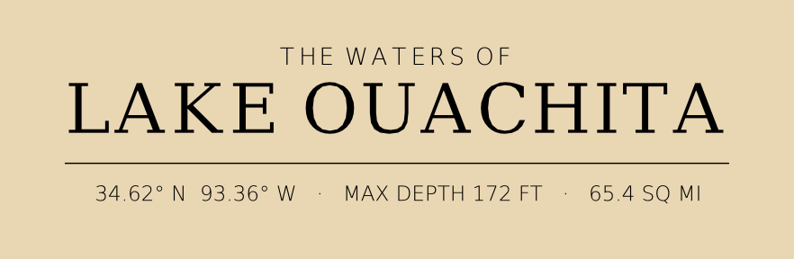 Title block preview