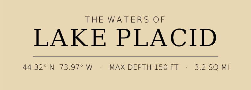 Title block preview