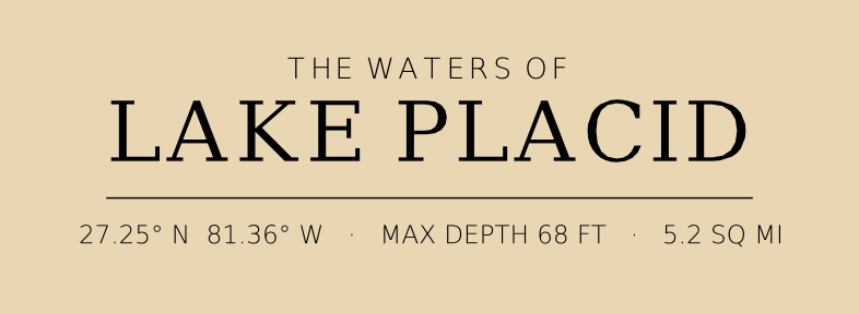 Title block preview