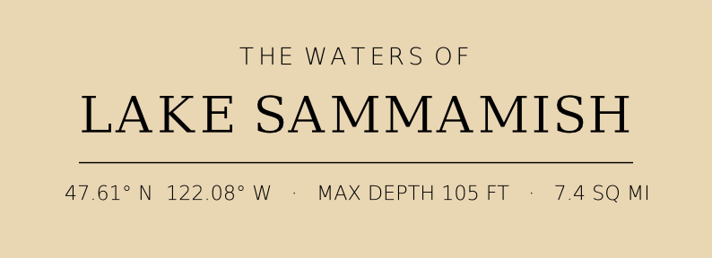 Title block preview