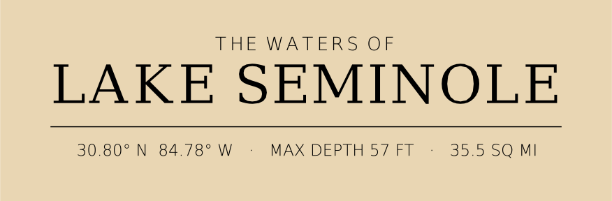 Title block preview