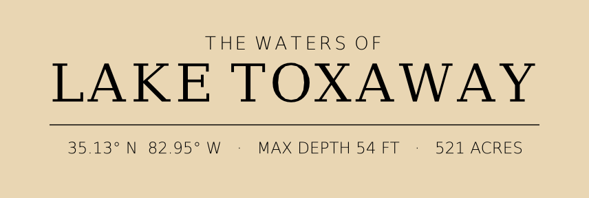 Title block preview