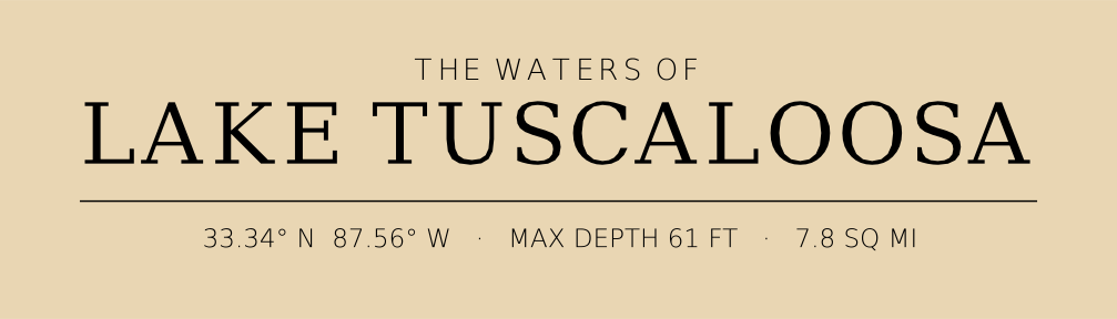 Title block preview