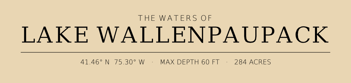 Title block preview