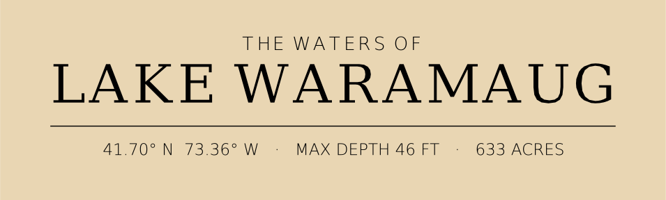 Title block preview
