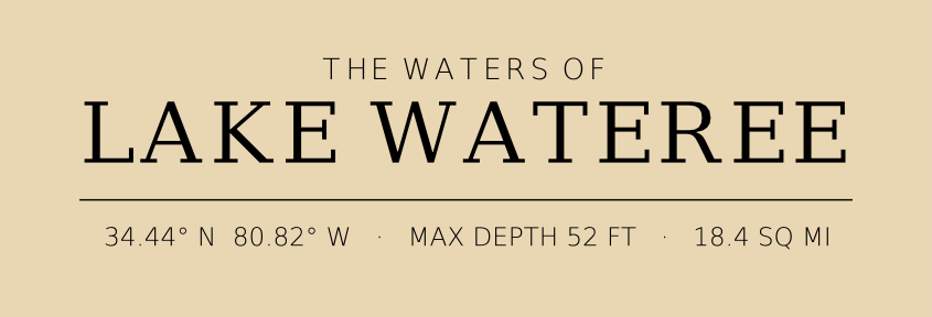 Title block preview