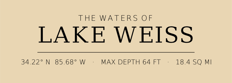 Title block preview