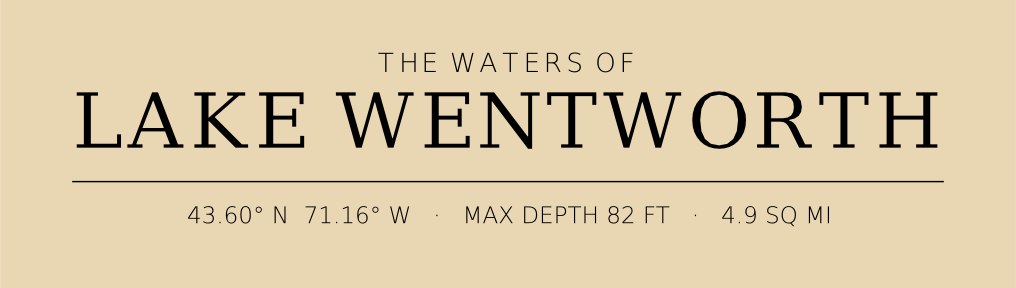 Title block preview