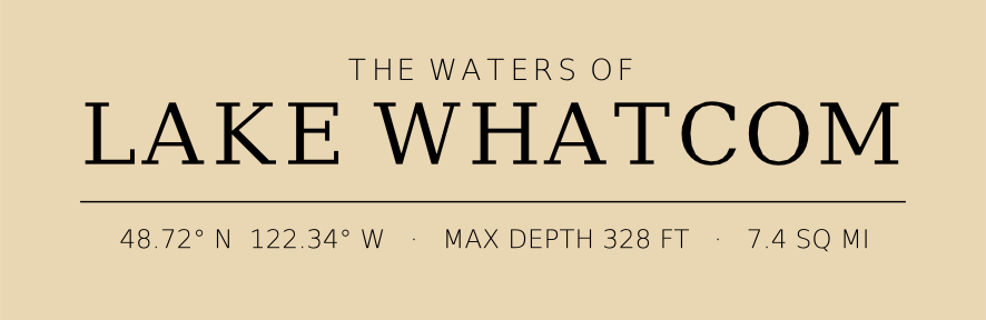 Title block preview