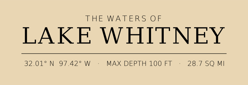 Title block preview