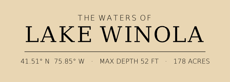 Title block preview