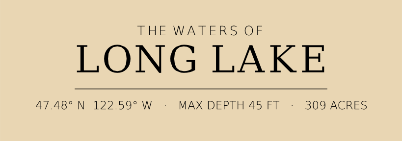 Title block preview
