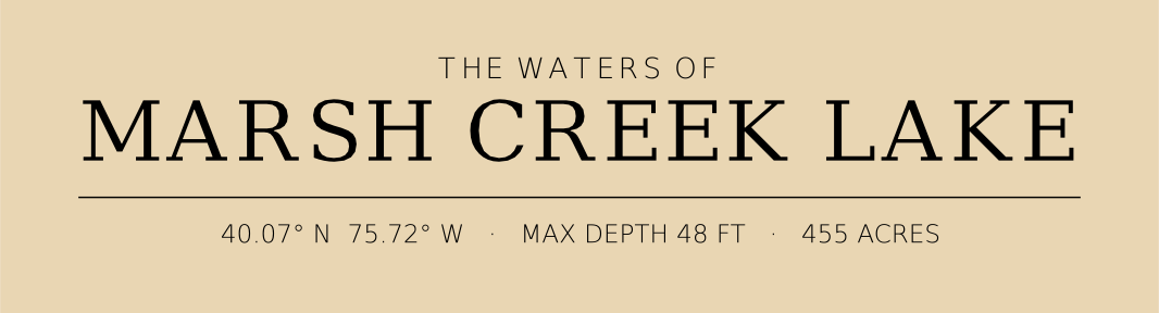 Title block preview