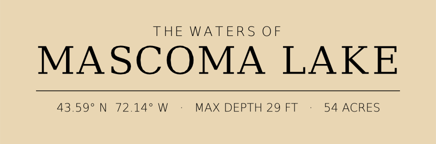 Title block preview