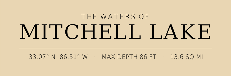 Title block preview