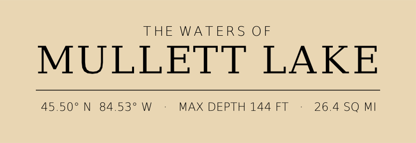 Title block preview