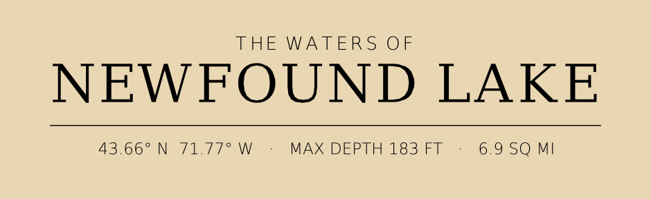 Title block preview