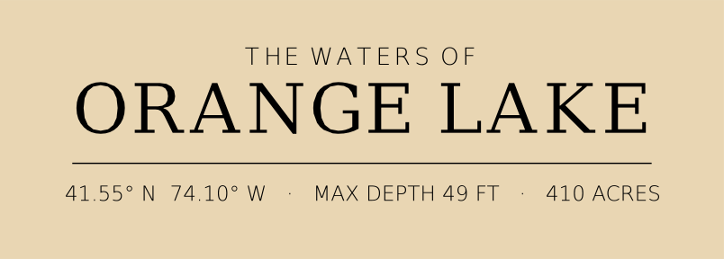 Title block preview