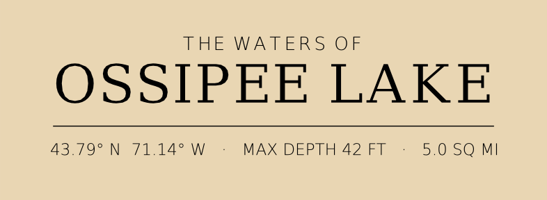 Title block preview