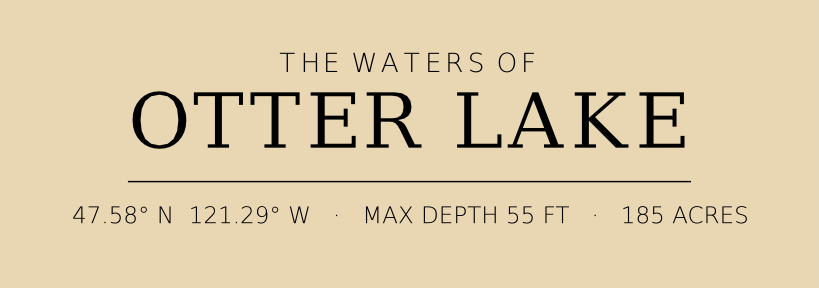 Title block preview
