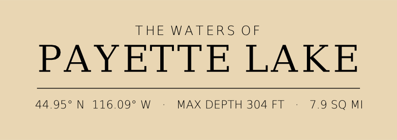 Title block preview