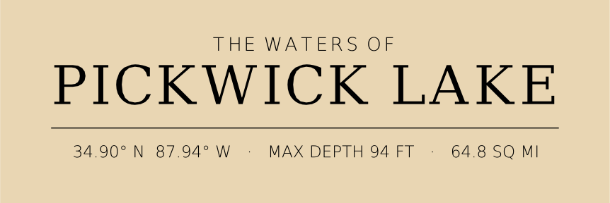 Title block preview