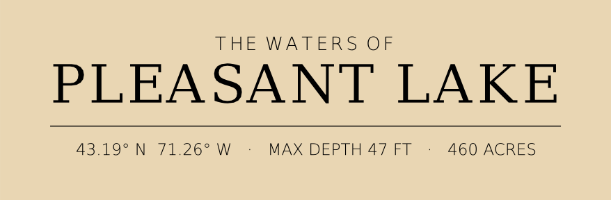 Title block preview