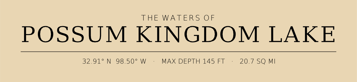 Title block preview